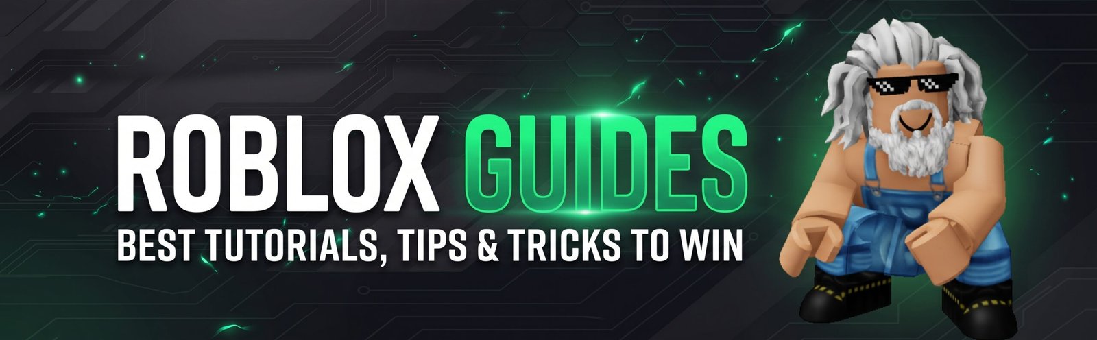 Roblox Guides Header